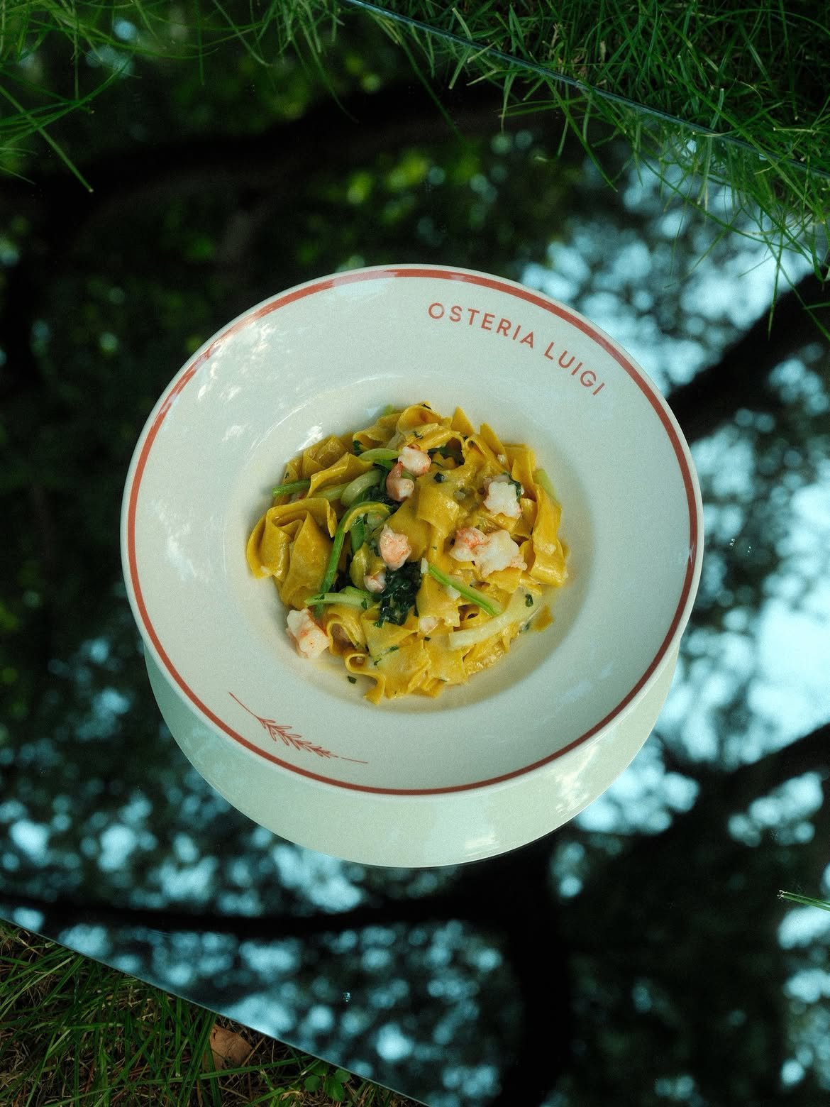Homemade tagliatelle with shrimp and zucchini